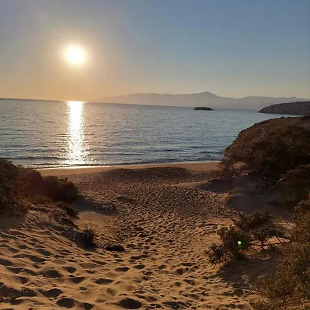 Daire Sophia & Chris