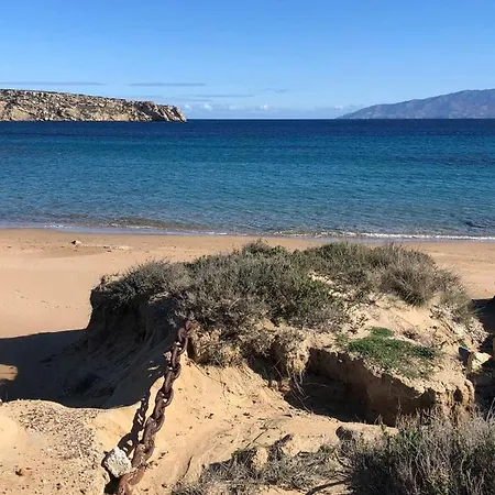 Daire Sophia & Chris